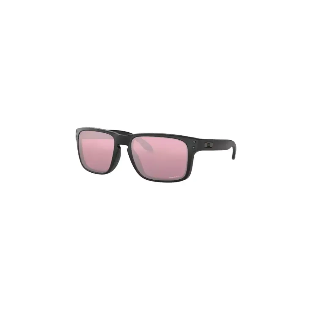 Oakley Holbrook