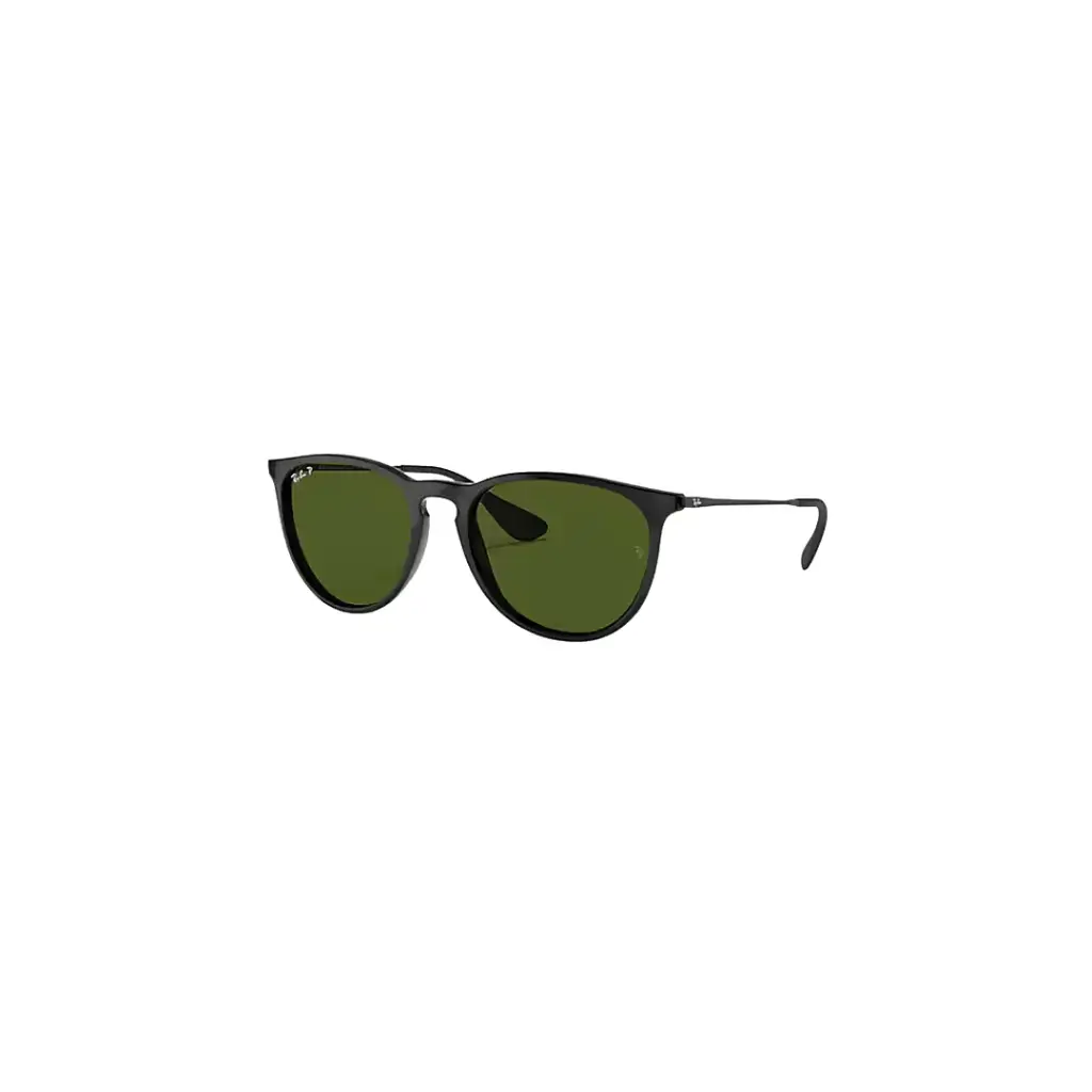Ray Ban Erika Classic