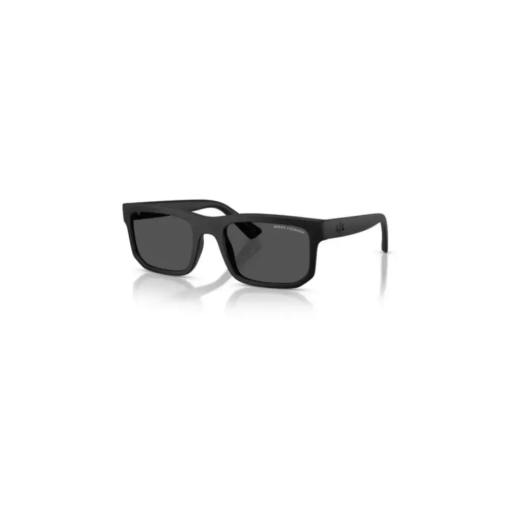 Armani Exchange Ax4165s
