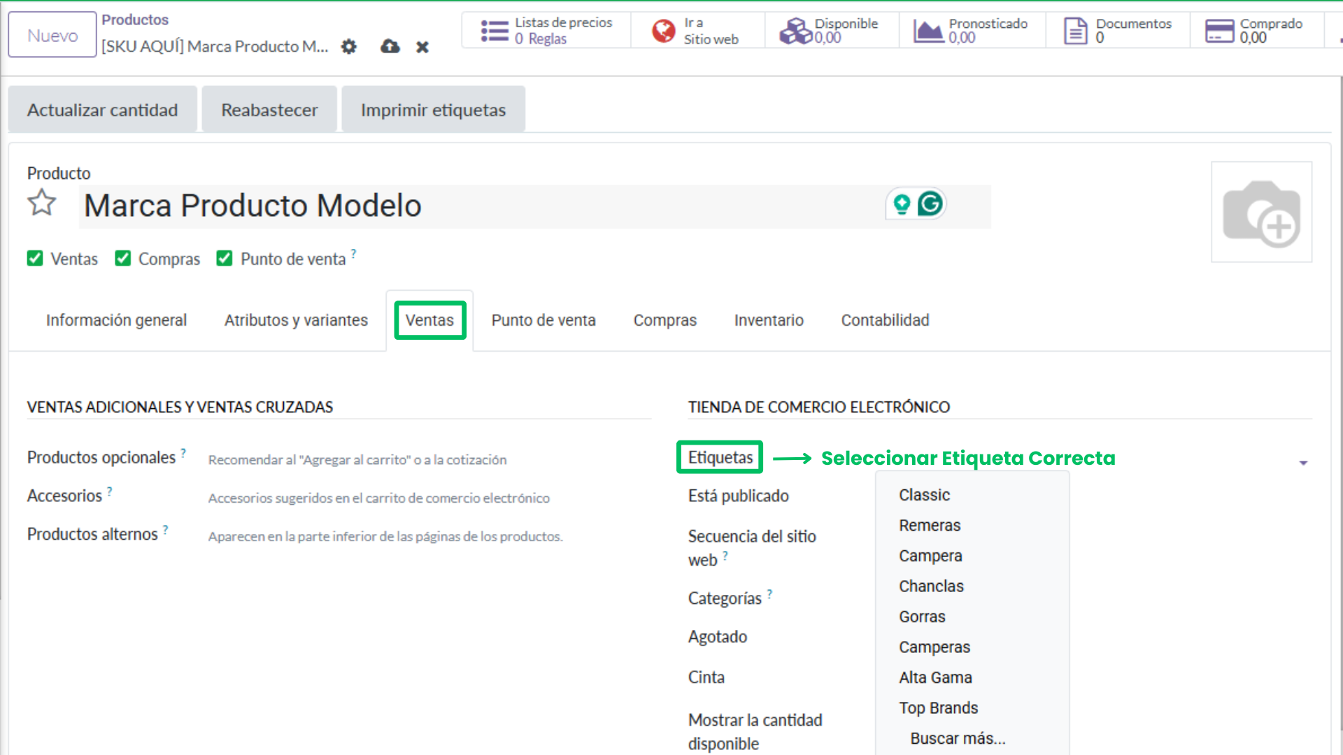 9. Seleccionar etiqueta correcta