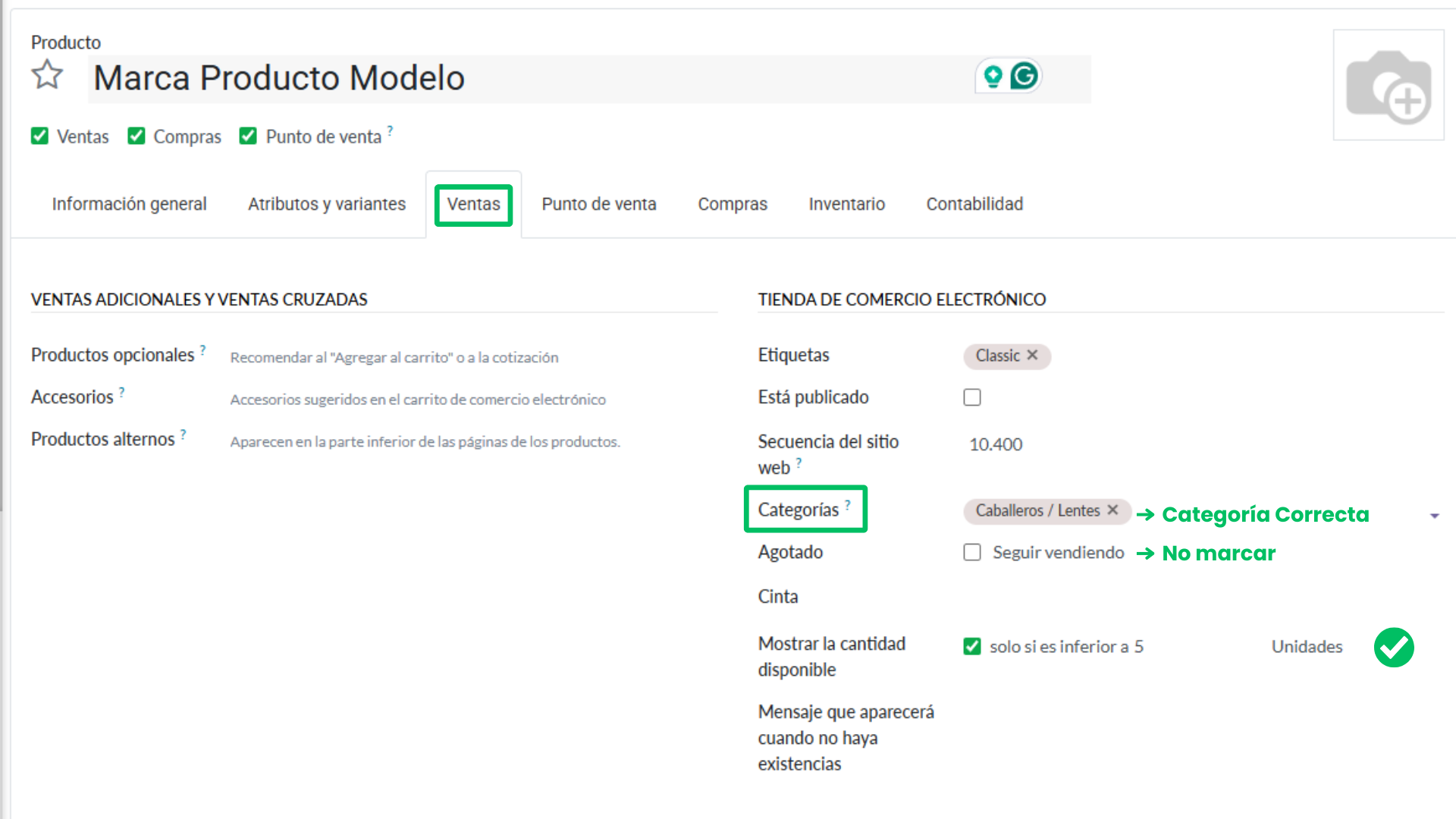 10. Completar categorías y disponibilidad